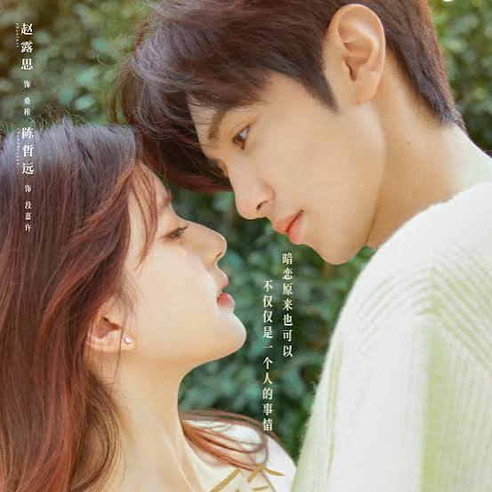 Story Collection: Hidden Love